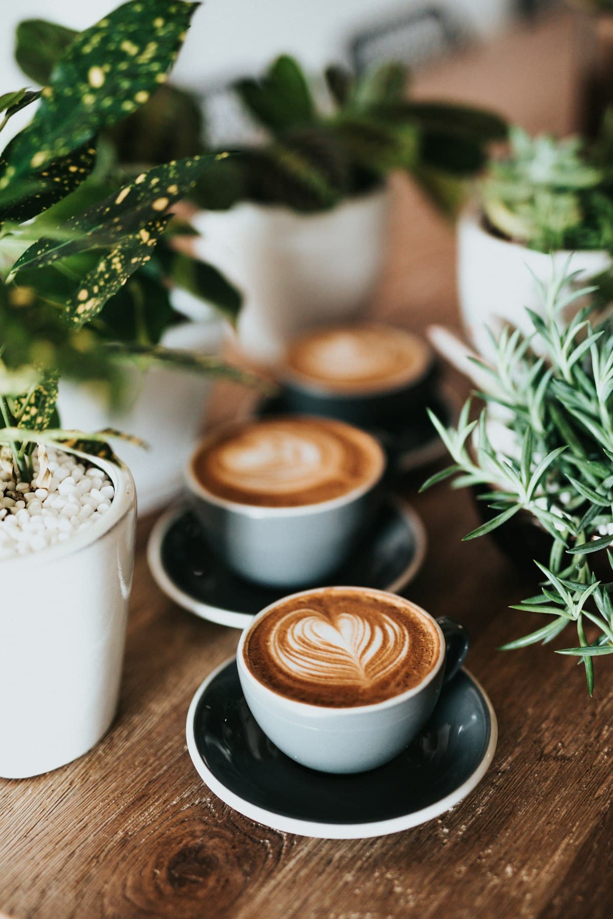 Coffee with frothed milk in a mug